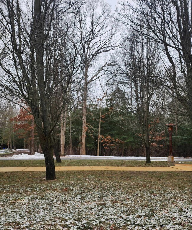 5 Langford Blvd, Cape May Court House, NJ 08210 - photo 4