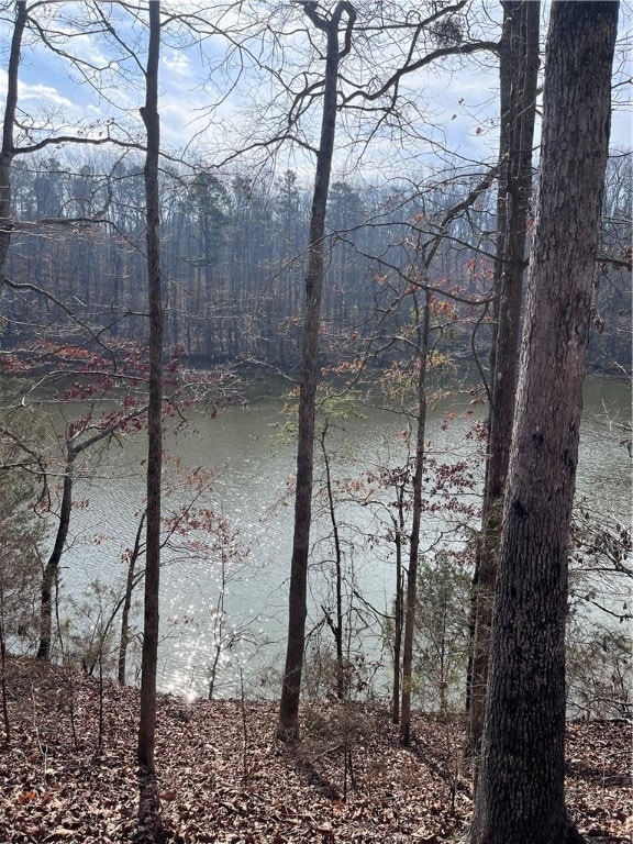 0 Lakeview Dr unit 20271609, Fair Play, SC 29643 - photo 7