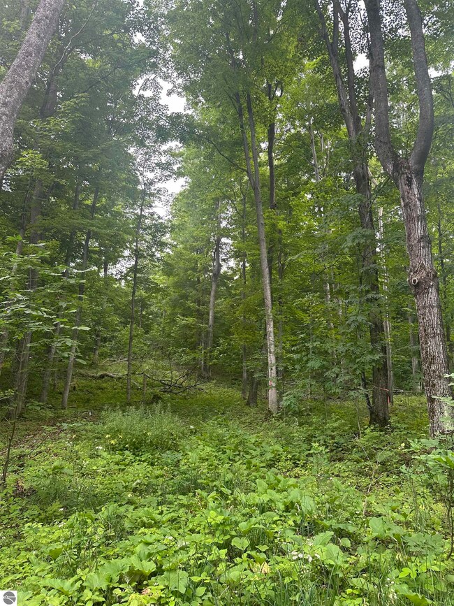 11599 S Tower Rd, Kasson Township, MI 49664 - photo 4