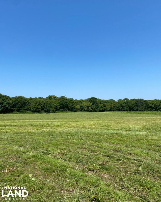 Highway 145, Columbiana, AL 35051 - photo 4