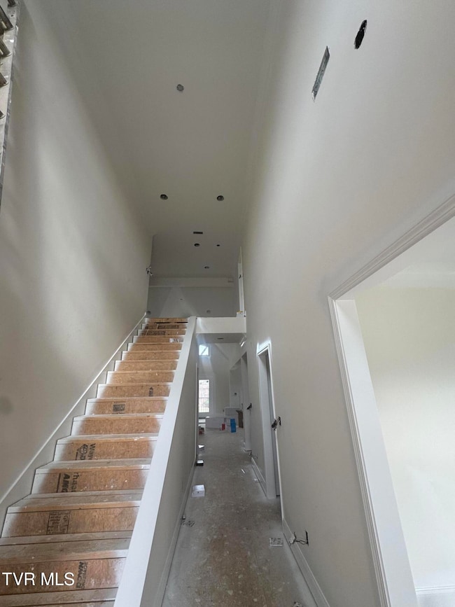 3 Morning Glory Terrace, Johnson City, TN 37615 - photo 3