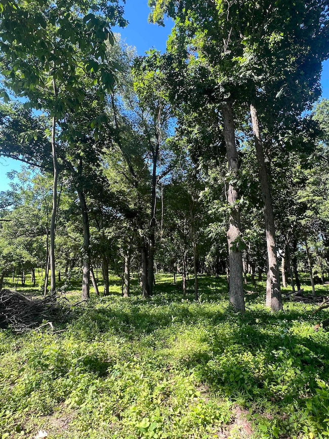 25226 Adams Rd, South Bend, IN 46628 - photo 2