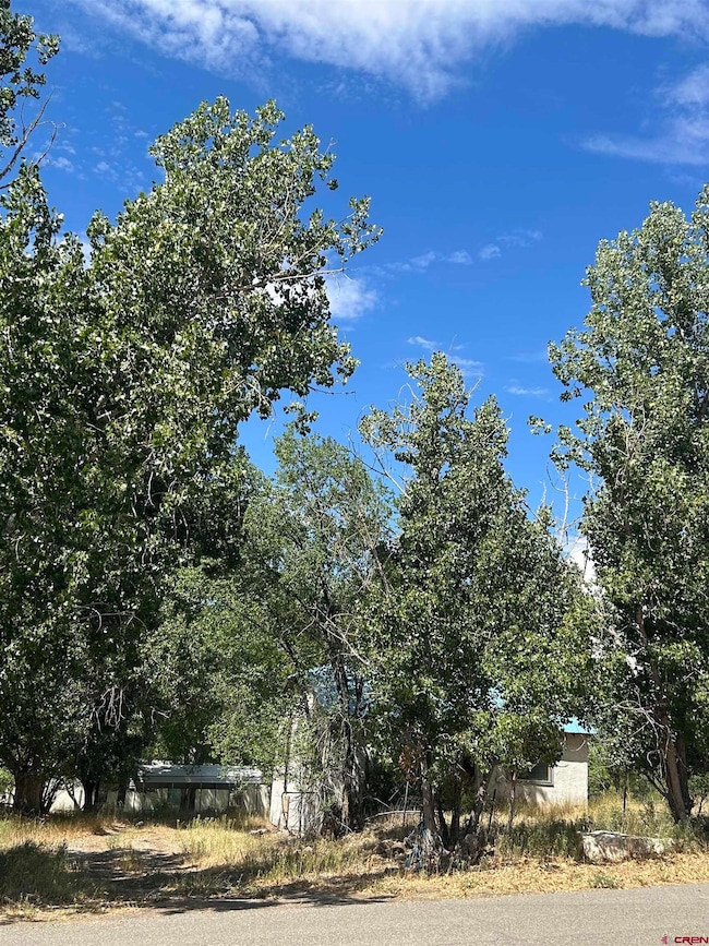 610 Grape St, Nucla, CO 81424 - photo 3