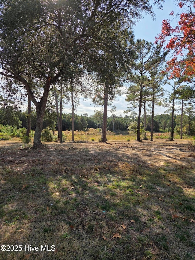 7501 Wallace Place SW, Sunset Beach, NC 28468 - photo 4