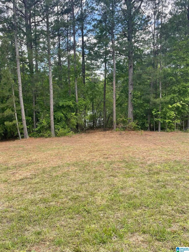 Lot 4/5 Old Highway 431 unit 1, Wedowee, AL 36278 - photo 4