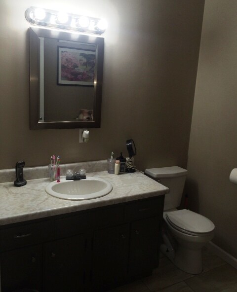 3009 S Jefferson St, Muncie, IN 47302 - photo 7