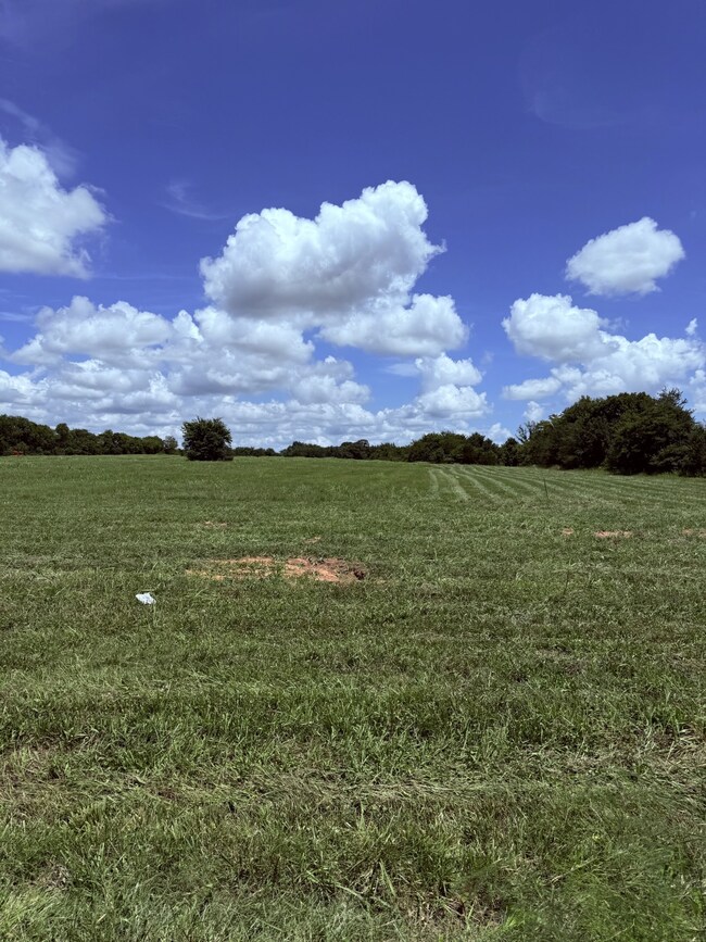 0 Nashville Hwy unit RTC2988524, Chapel Hill, TN 37034 - photo 4