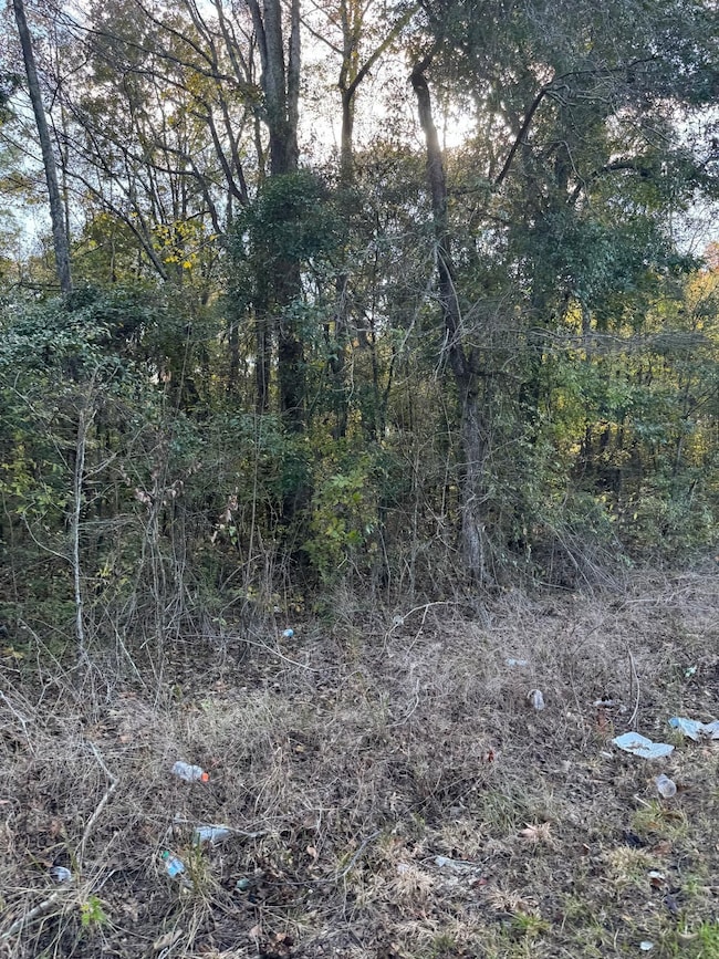 0 Felton St, Summerton, SC 29148 - photo 7