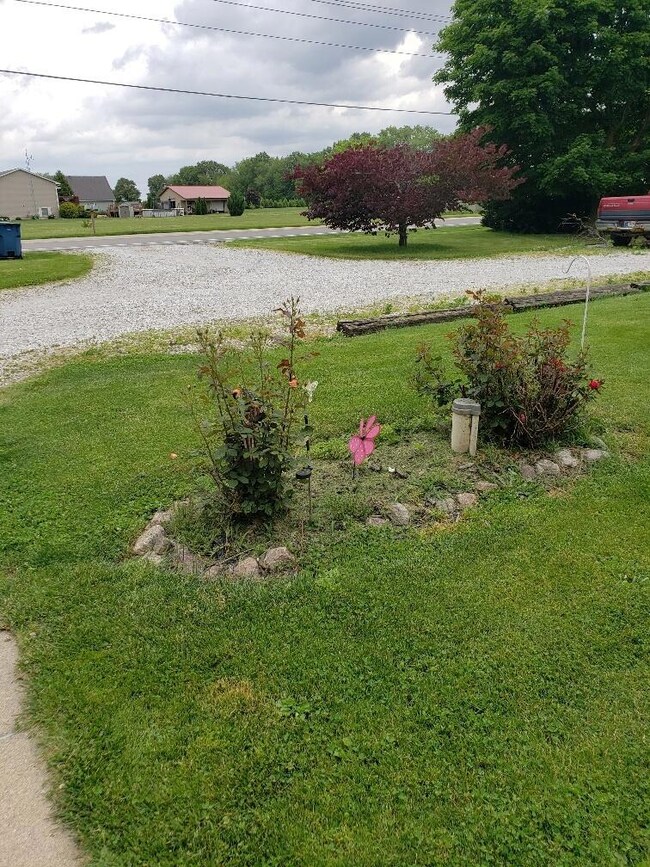 20240524_115546_resized