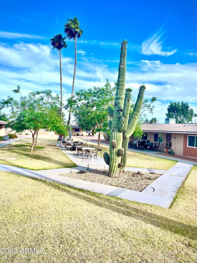 13673 N 111th Ave unit 15B, Sun City, AZ 85351 - photo 2