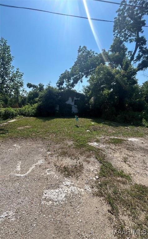 1510 N Maxey St, Selma, AL 36703 - photo 2