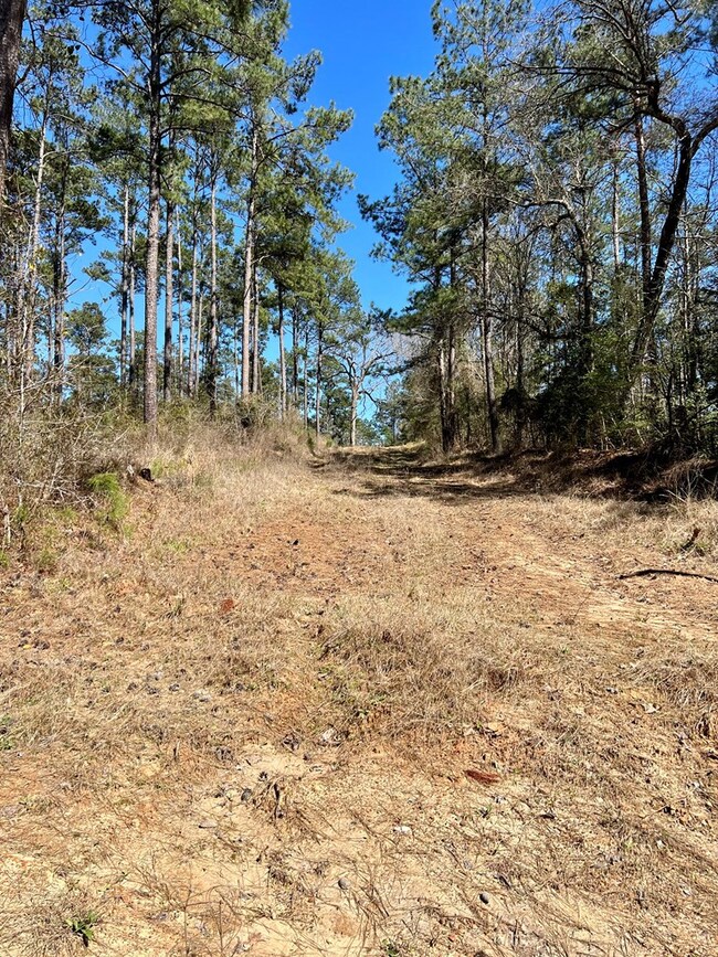 TBD Borrego Spring Rd, Nacogdoches, TX 75964 - photo 3