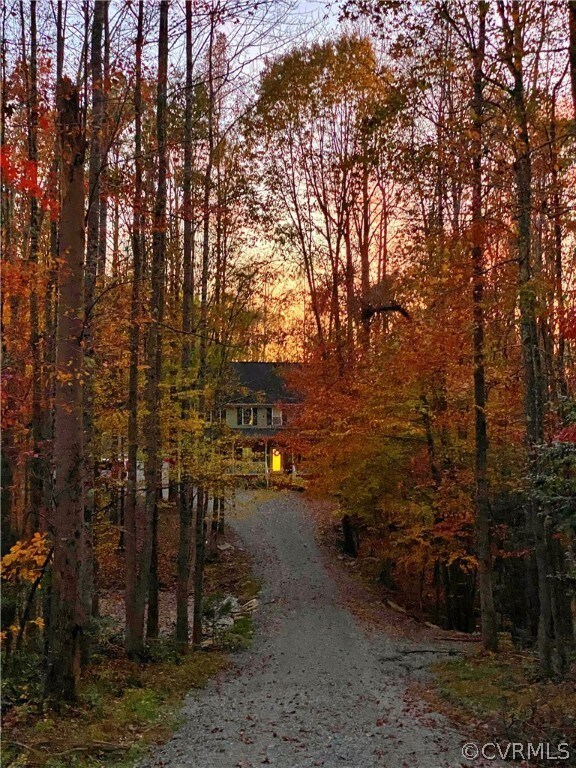 Beautiful Fall Foliage from Driveway