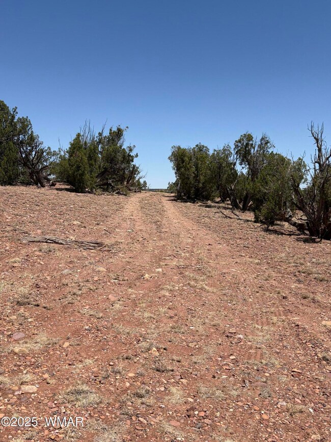 Drive way on West side of Property