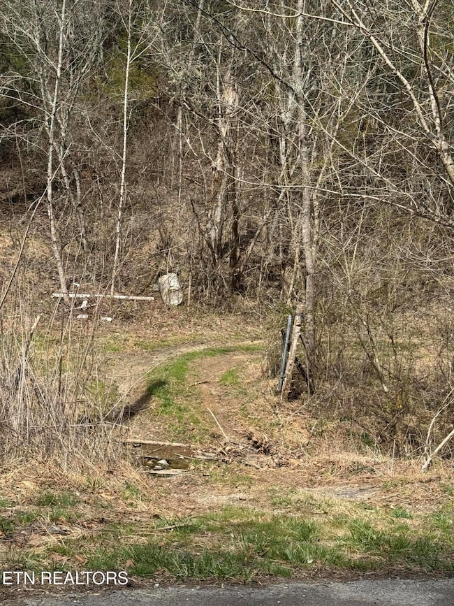 0 Bear Creek Rd unit 1295122, Bybee, TN 37780 - photo 2