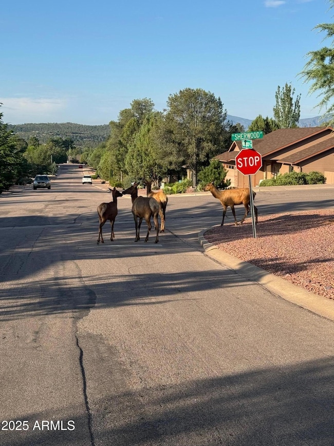 817 N Blue Spruce Cir unit 284, Payson, AZ 85541 - photo 2