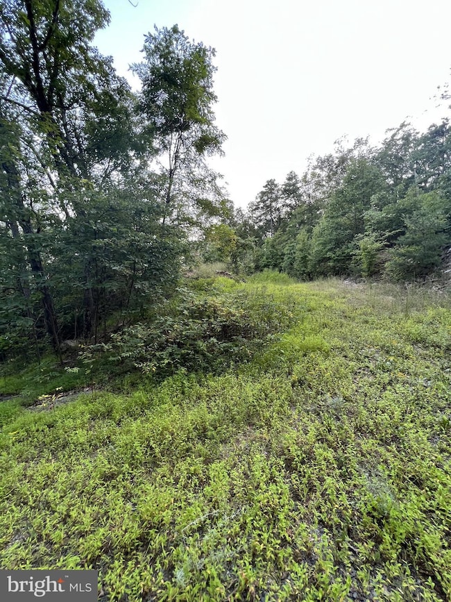 1137 Tomahawk Trail, Winchester, VA 22602 - photo 3