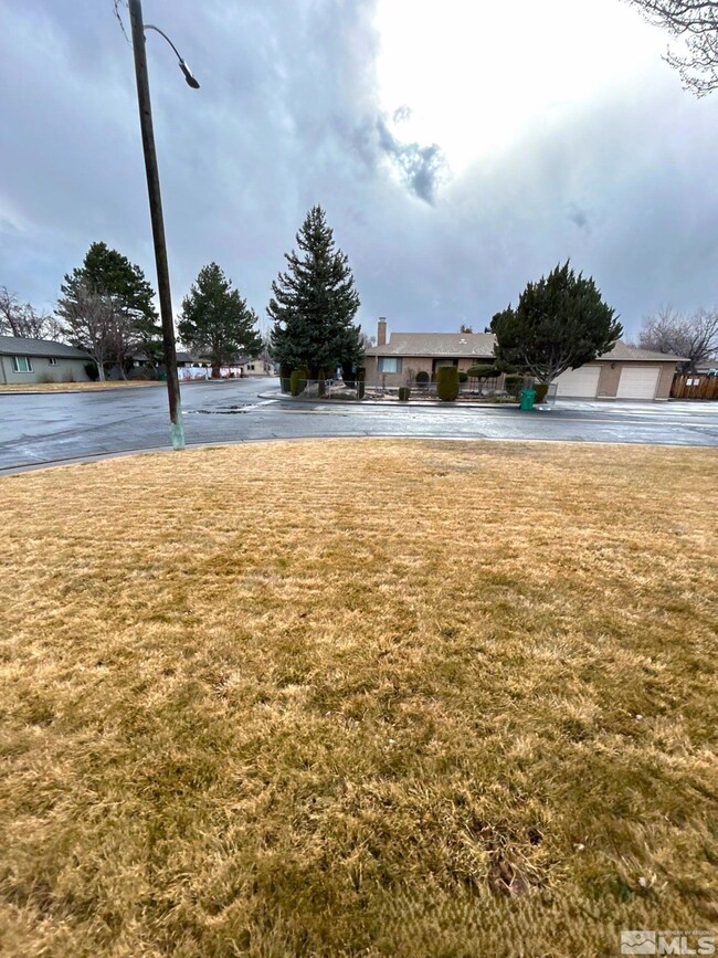 1010 Tyler Way, Sparks, NV 89431 - photo 3