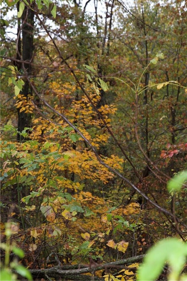 45 Hollowway Dr, Bella Vista, AR 72715 - photo 2