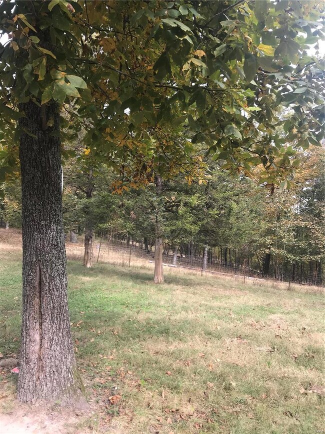 11555 County Road 7310, Newburg, MO 65550 - photo 3