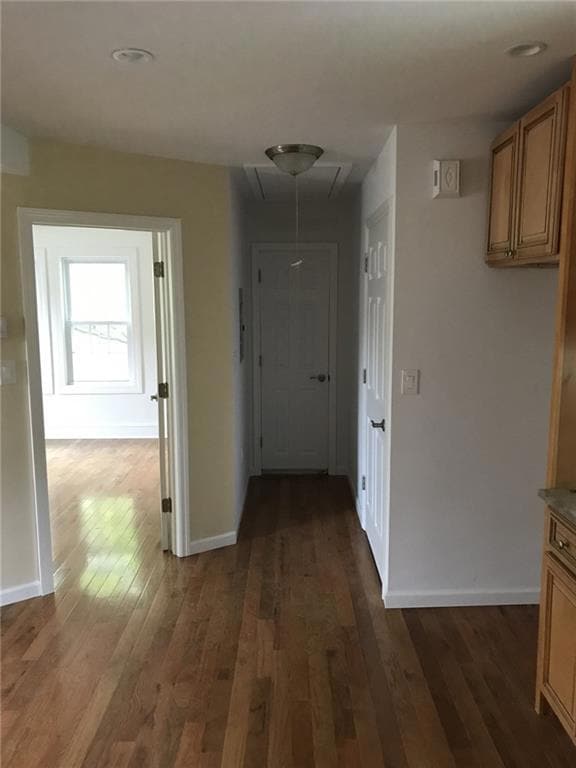 41 Newberry Ave, Staten Island, NY 10304 - photo 7