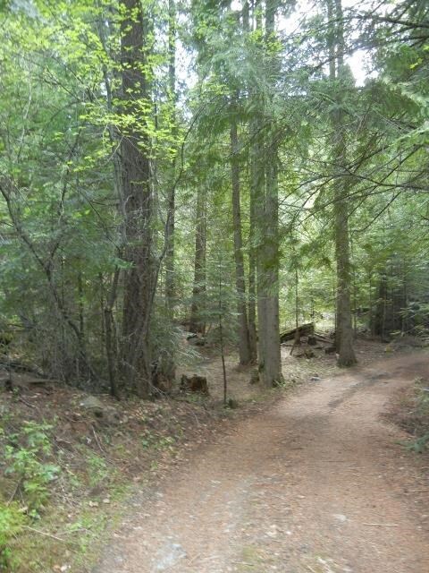 1895 Blue Creek Rd W, Chewelah, WA 99109 - photo 7