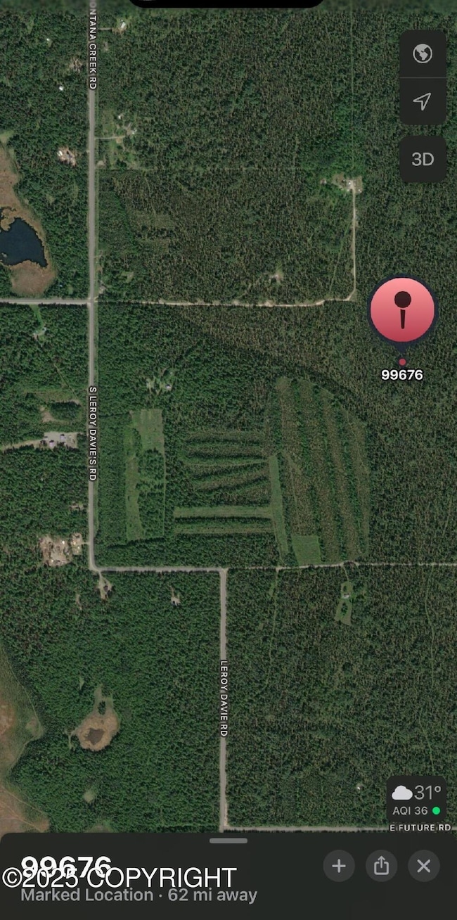 GOV S Leroy Davies Rd, Talkeetna, AK 99676 - photo 7