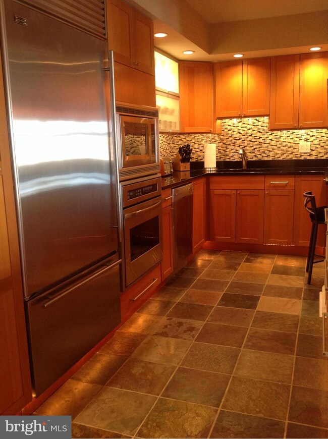 St. Paul at Chase Condominiums unit 1012, Baltimore, MD 21202 - photo 6