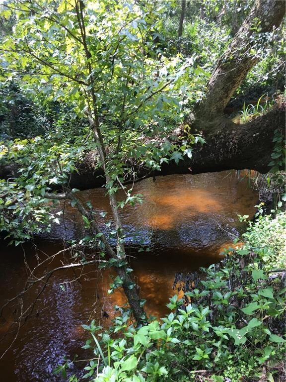 creek flowing from Lake Jessup