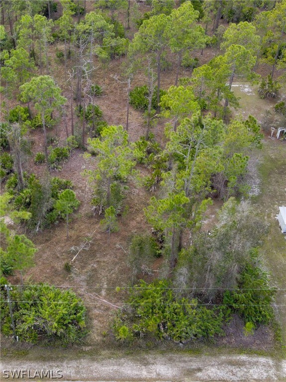 2119 Truman Ave, Alva, FL 33920 - photo 4