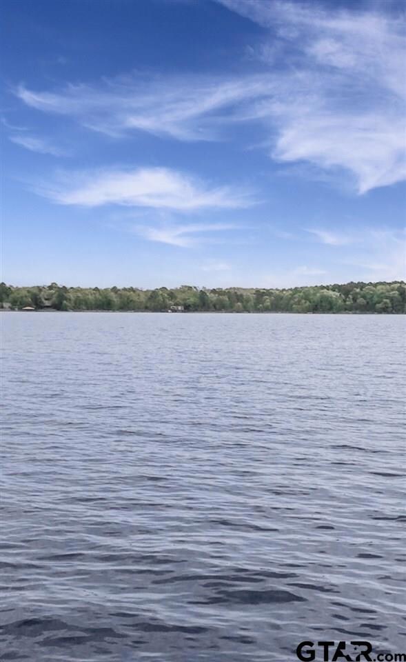 15299 Big Oak Bay Rd, Tyler, TX 75707 - photo 3