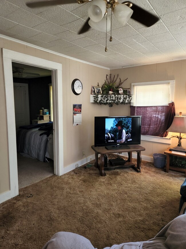 520 S Spring St, Manchester, TN 37355 - photo 5