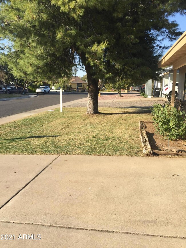 Front Yard