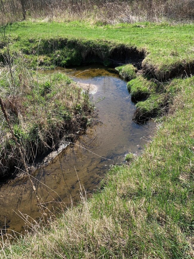 New creek1
