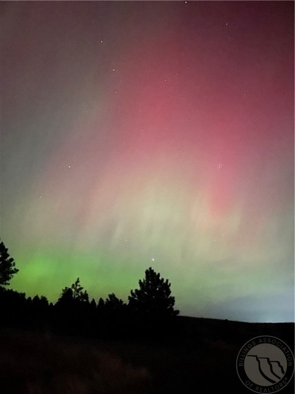 View-northern lights