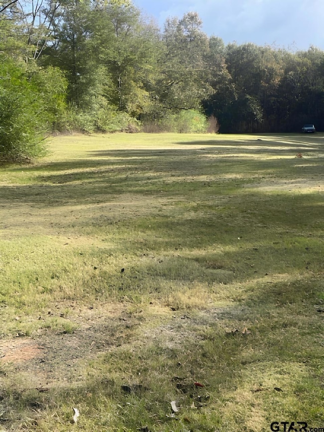 112 N Price St, Troup, TX 75789 - photo 4