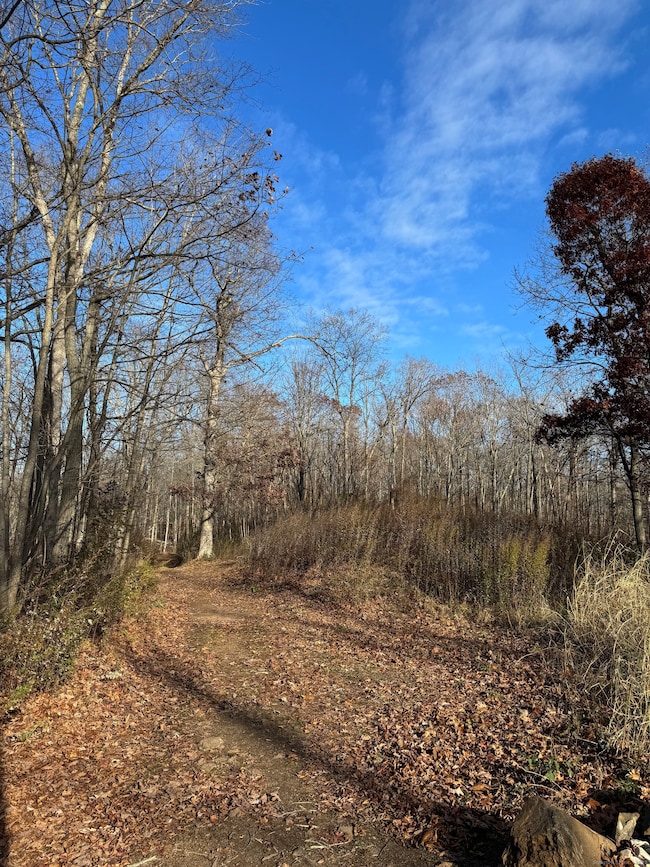 71 Hilltop Dr, Branford, CT 06405 - photo 4