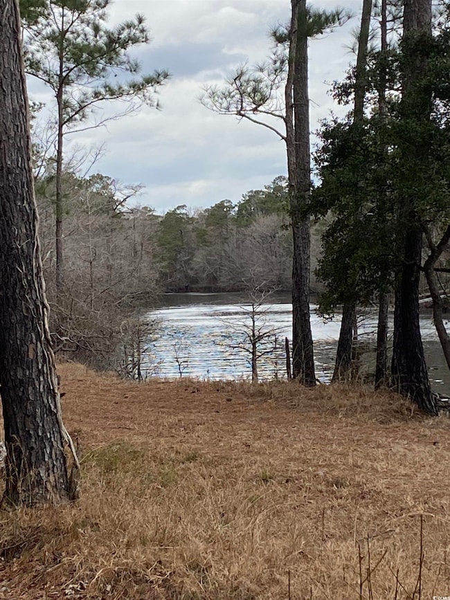 Water view