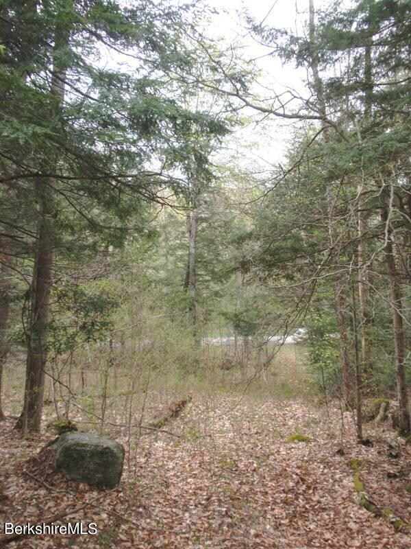 Open Woods