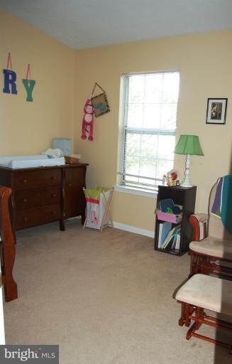 13945 Big Yankee Ln unit 13945, Centreville, VA 20121 - photo 7