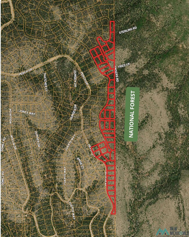 239 Anders Rd, Timberon, NM 88350 - photo 5