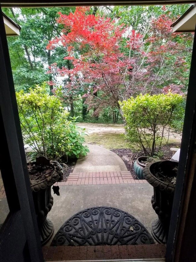 206 Timber Ln, Oxford, MS 38655 - photo 6