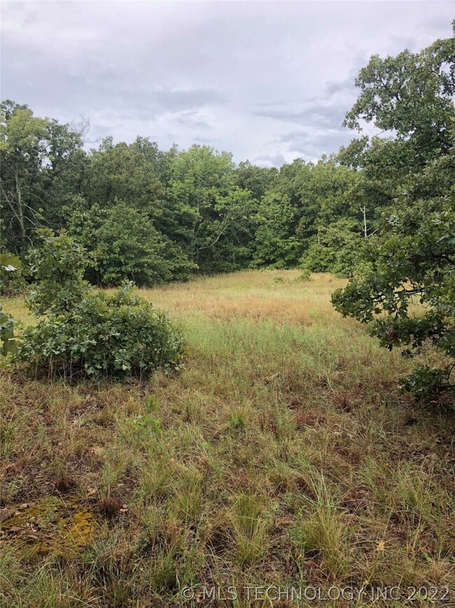 0 Westfall Rd unit 2104846, Skiatook, OK 74070 - photo 2