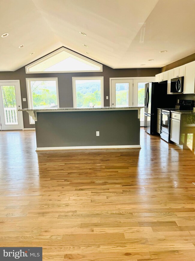 75 Marian Ln, Bentonville, VA 22610 - photo 4