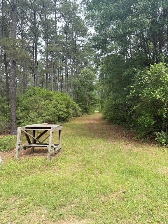 View of yard featuring a forest view