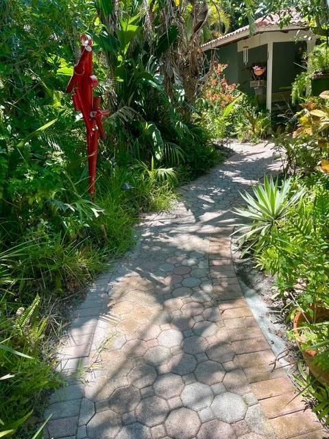 INDIGENOUS PLANTS