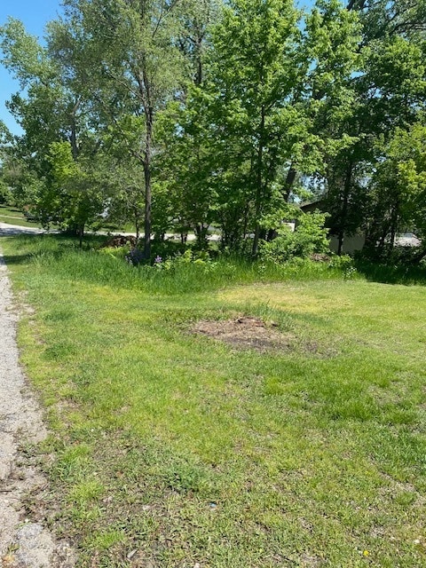 1023 Hooks Ln, Fox Lake, IL 60050 - photo 5