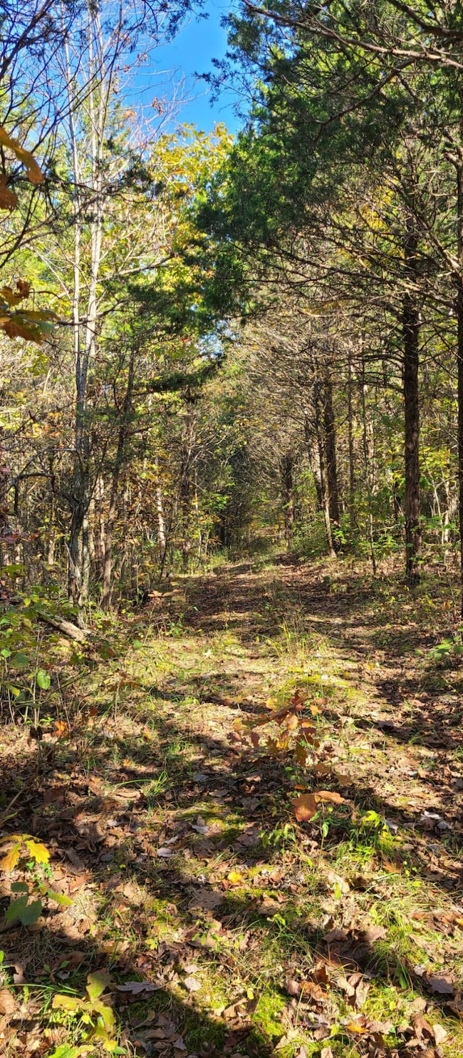 20.3 Lawrenceville Rd, Williamstown, KY 41097 - photo 6