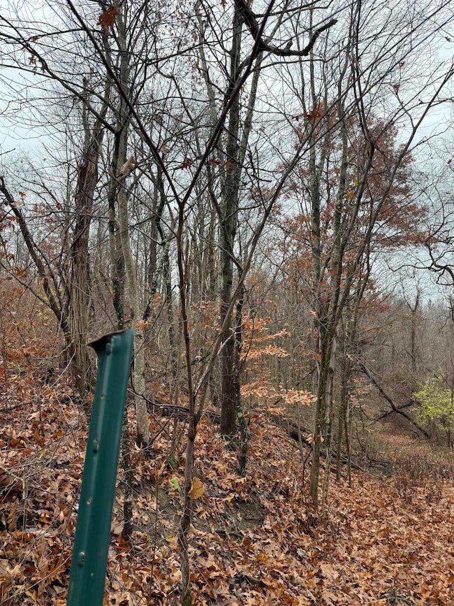 TBD Mount Morris Rd, Morgantown, WV 26501 - photo 4