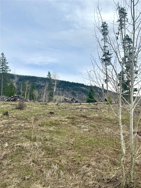 View of mountain background